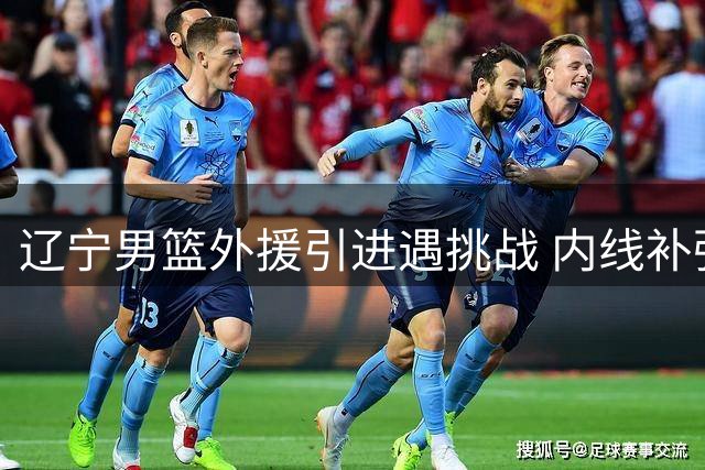 辽宁男篮外援引进遇挑战 内线补强瞄准王少杰