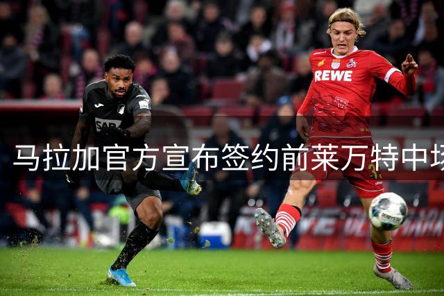 马拉加官方宣布签约前莱万特中场马丁内斯